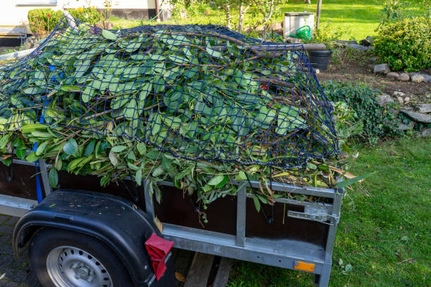 Trusted Callaway, FL Junk Removal Services Experts